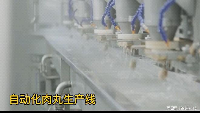 一天生产十吨的肉丸生产线：构建高效率、自动PG电子化的解决方案(图1)
