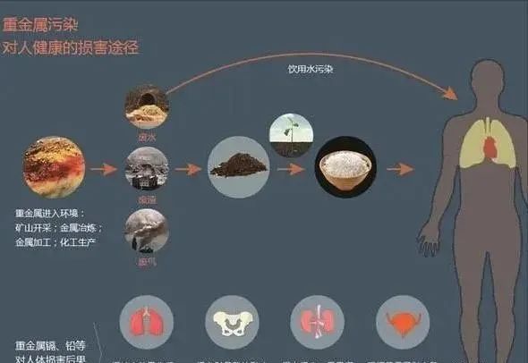 PG电子每年21万吨电子垃圾：养活4万人却让他们活不过25岁(图6)