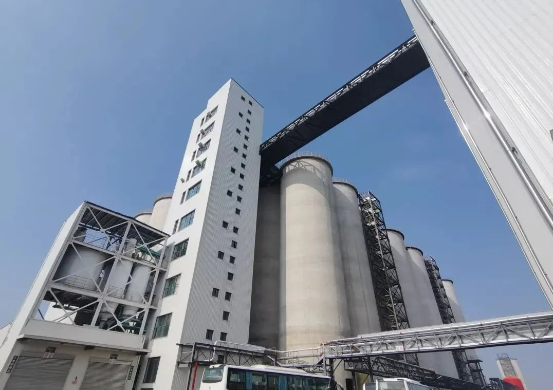 长沙望城：重大项目建设PG电子决战四季度！(图4)