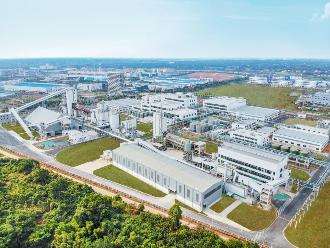 长沙望城：重大项目建设PG电子决战四季度！(图5)