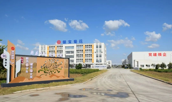 江苏银宝菊花科技公司：小菊花做成“大产业”PG电子(图3)