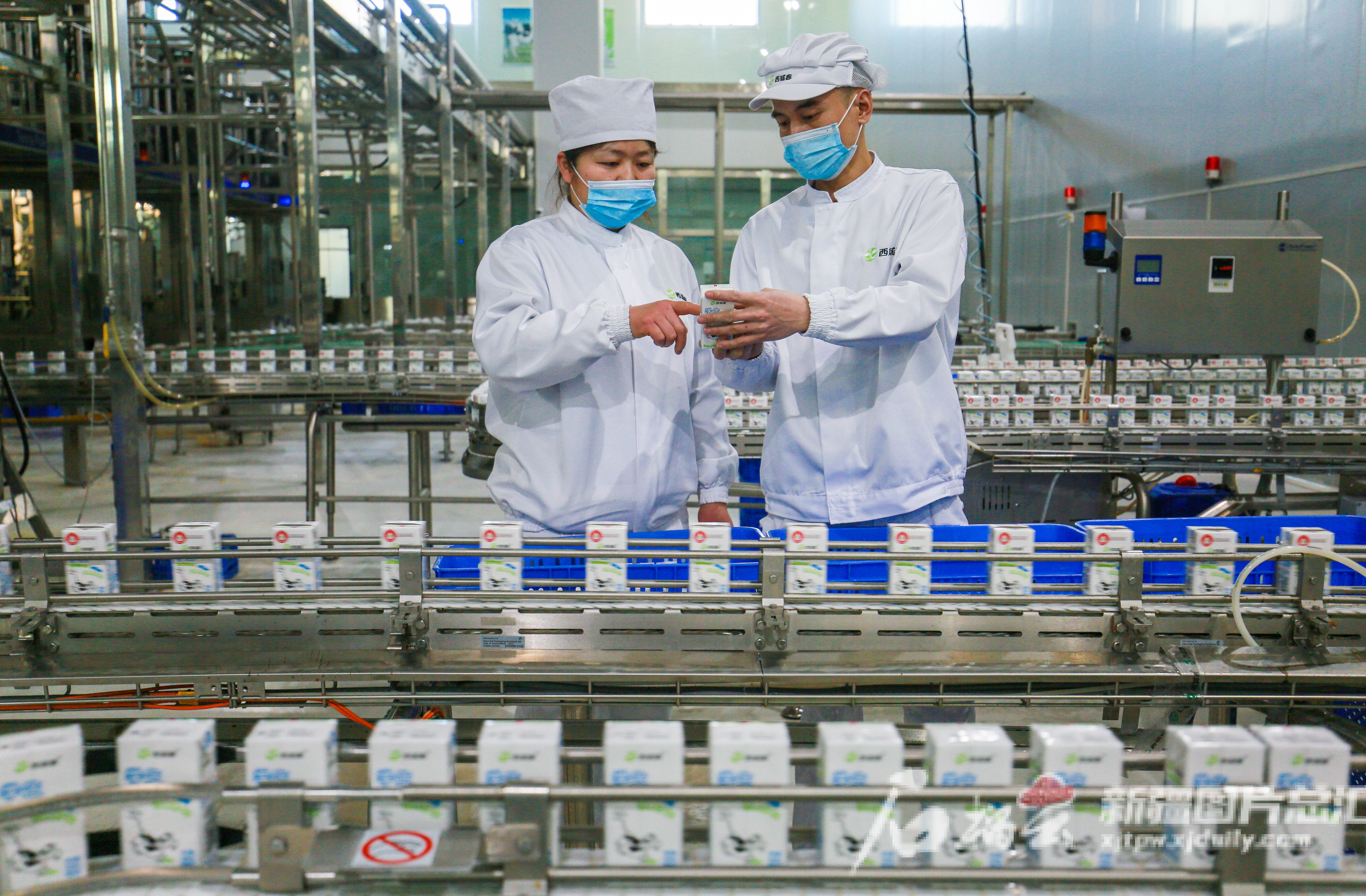 PG电子全链条发力 新疆乳品香飘全国(图3)