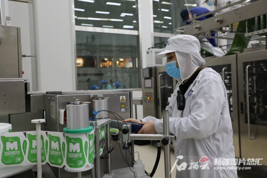 PG电子全链条发力 新疆乳品香飘全国(图4)