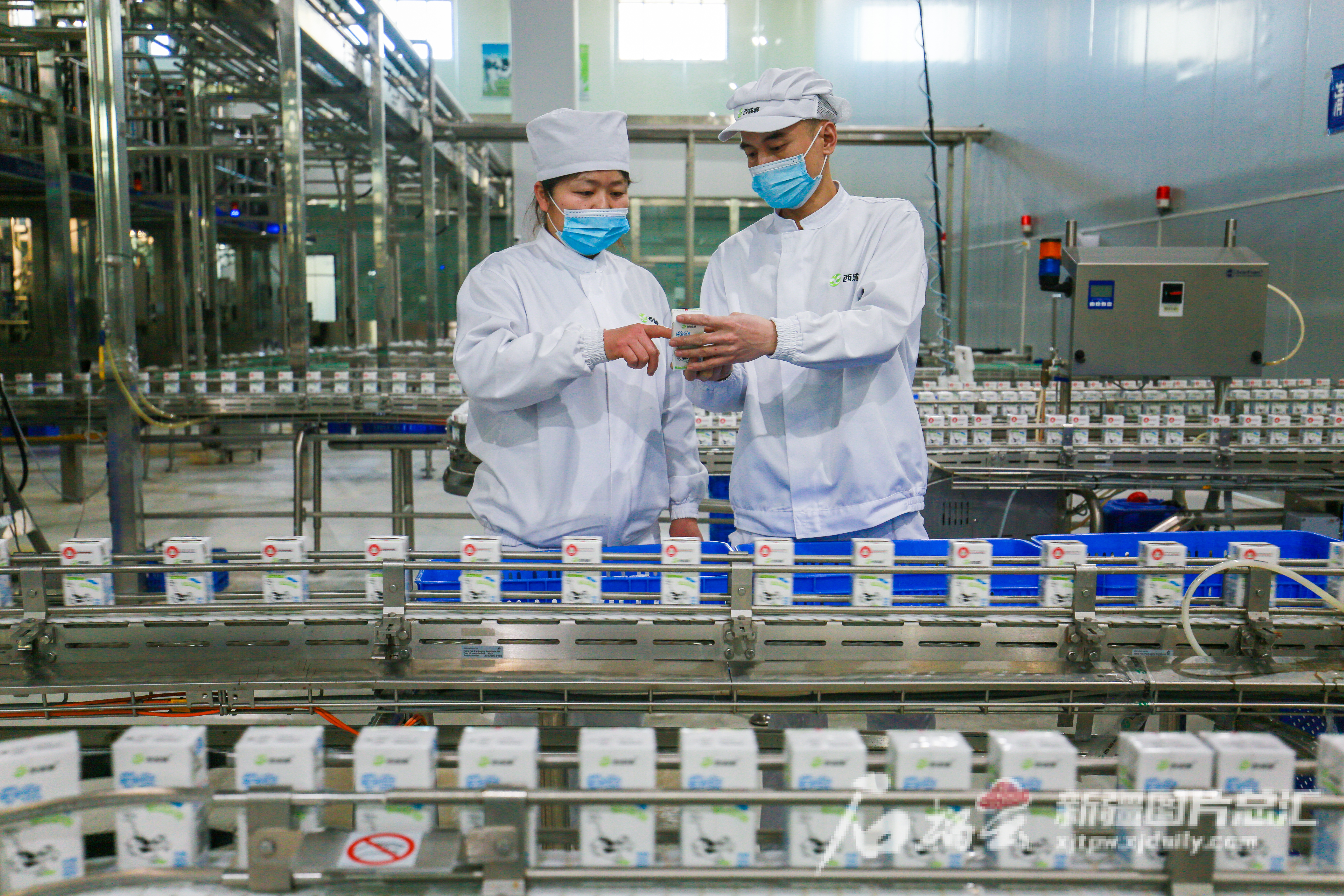 PG电子全链条发力 新疆乳品香飘全国(图5)
