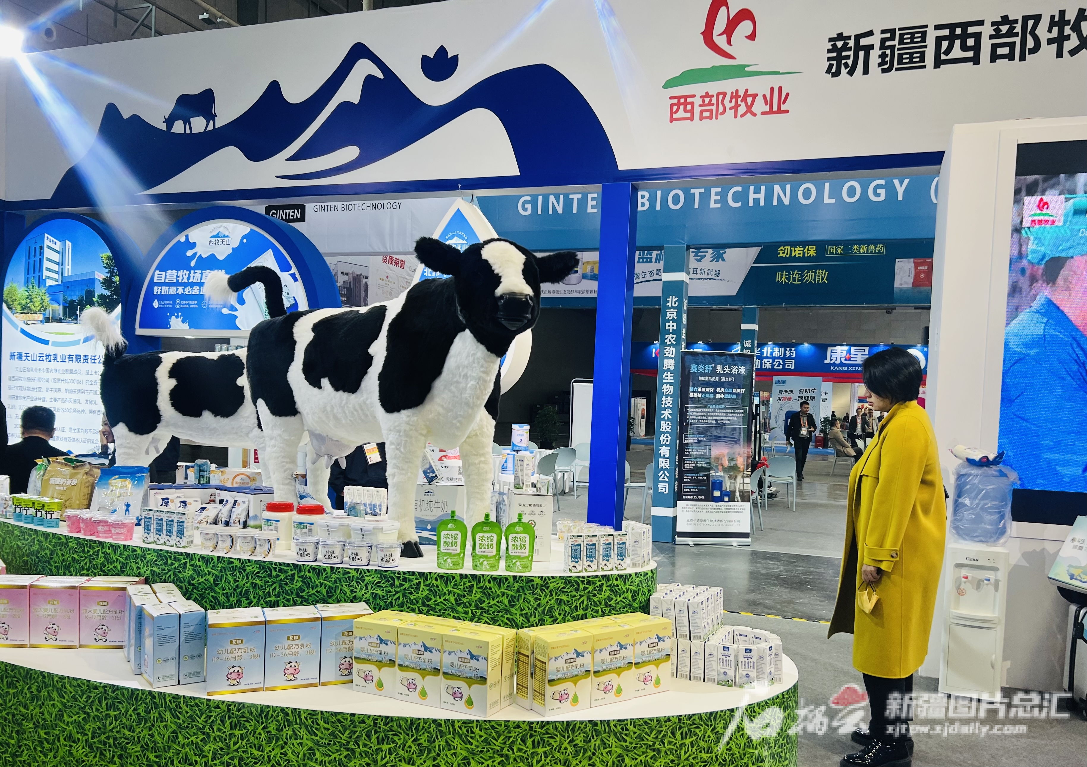 PG电子全链条发力 新疆乳品香飘全国(图7)