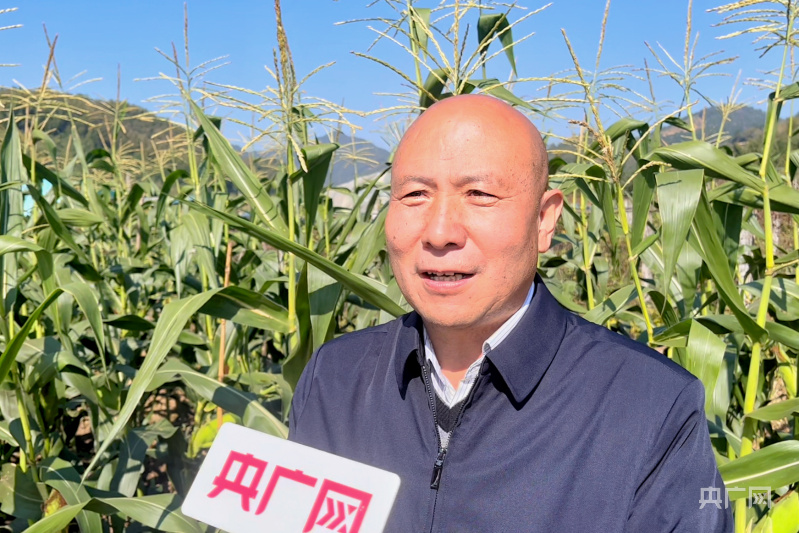 PG电子乡村振兴看福建｜一株玉米种出“金穗穗” 做好现代农业“土特产”文章(图4)