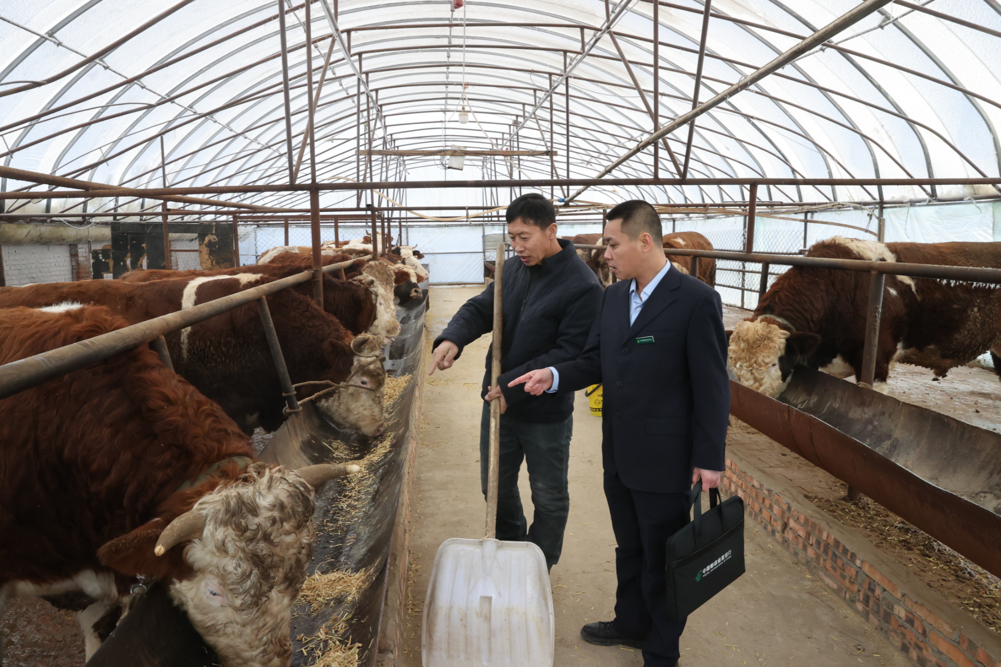 邮储银行松原市分行：以奋进之姿持续助力地方经济发展(图7)