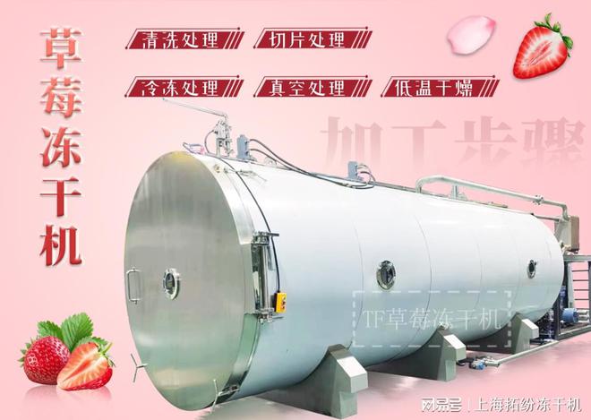 PG电子平台上海拓纷草莓冻干机自动化生产线：引领食品加工业的创新与发展(图2)