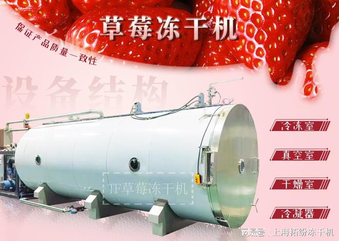 PG电子平台上海拓纷草莓冻干机自动化生产线：引领食品加工业的创新与发展(图1)