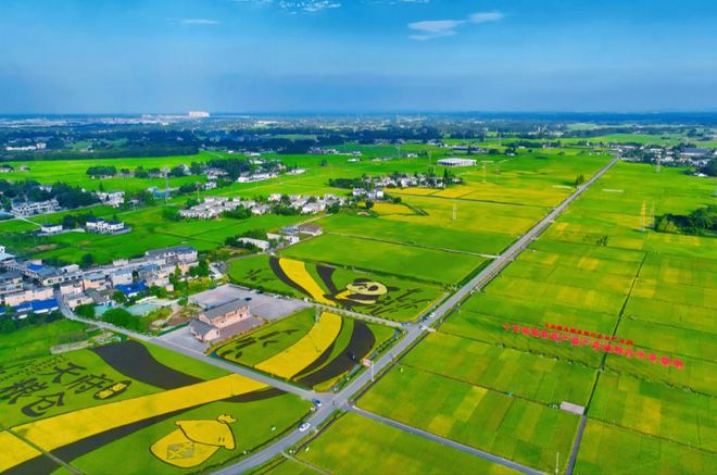 聚焦12个重点领域！四川省2024年“数据要素×”这么干！PG平台 电子(图4)